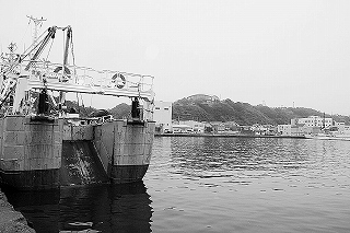 浦河港の様子